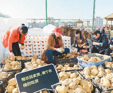 社交电商，释放更多消费潜力