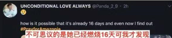 海外网评：巴西亚马孙大火，烧出了什么？