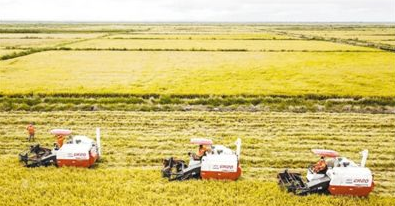 1567168267160157.png image.png