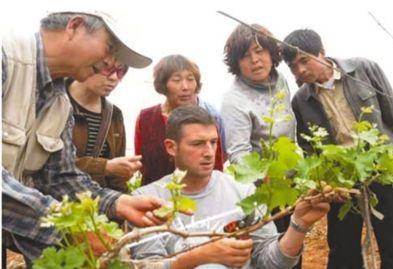 1567168737820844.png image.png