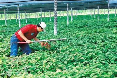 美国内呼吁取消拟加征关税:贸易大棒打疼的是我们自己