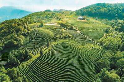 山高水长登白马（行天下）