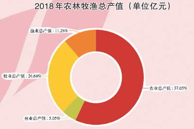 【海外版国庆特刊·三农篇】农业强 农村美 农民富
