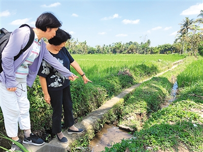 来自申报现场的专家解读:世界灌溉工程遗产