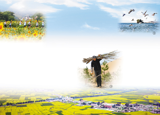 【海外版国庆特刊·生态篇】绿水青山就是金山银