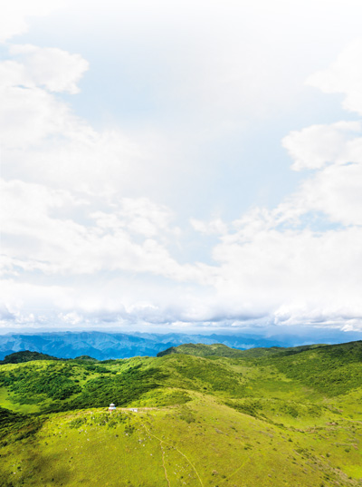 【海外版国庆特刊·生态篇】70年，五代人，一片绿