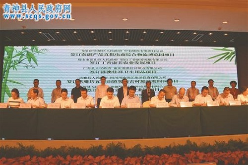 1569403257375123.jpg 2.jpg