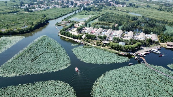 1569722349919960.jpeg 王家寨.jpeg