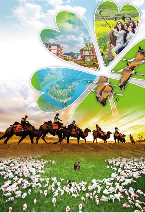 【海外版国庆特刊】“宽广美丽的土地，是我们亲爱的家乡”