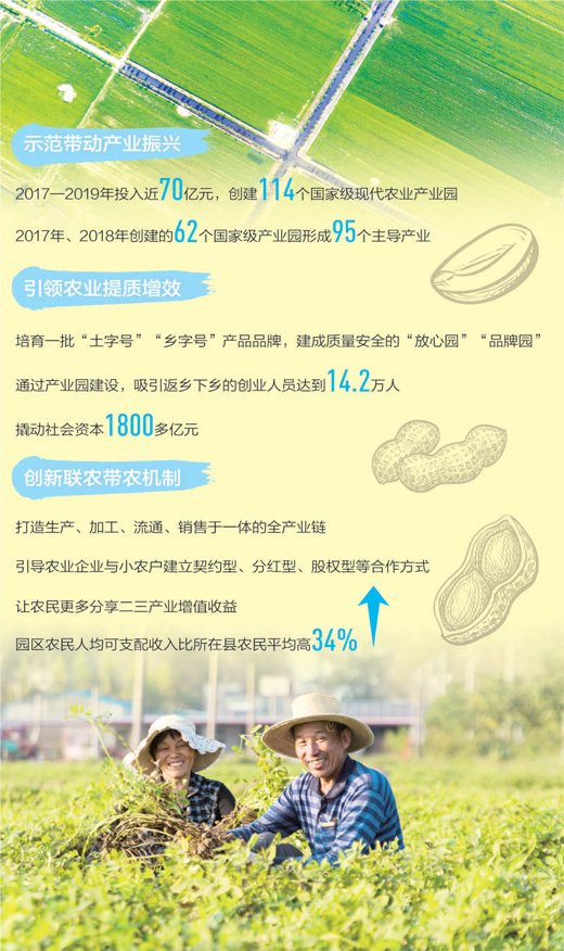 小花生“长”成大产业