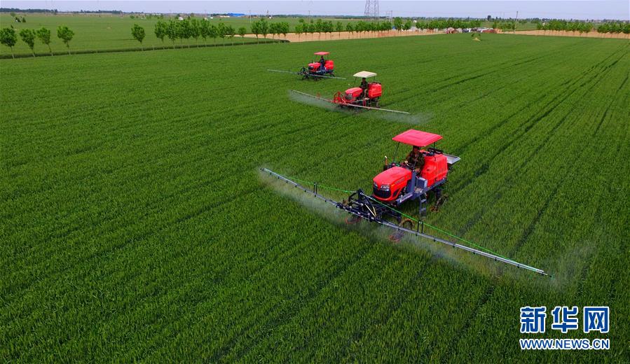 海外网评：确保粮食安全，中国成为全球样板
