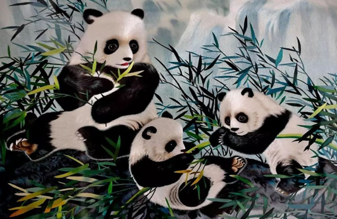 图为安静蜀绣代表作品,三只熊猫栩栩如生,跃然纸上