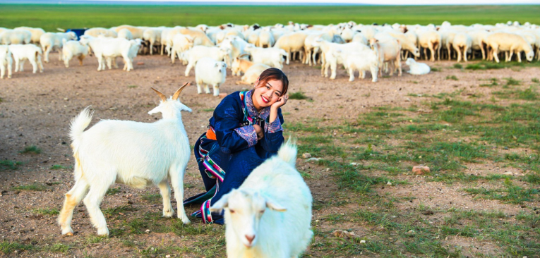 1572838066656447.png 1572838066656447.png