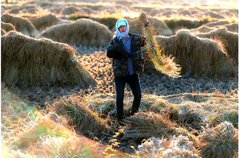 1572838087350970.png 1572838087350970.png