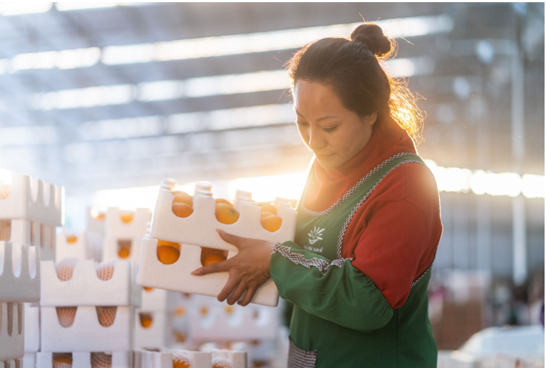 1572838123829657.png 1572838123829657.png