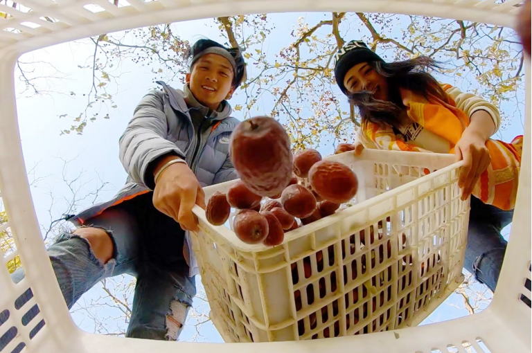 1572838148144374.png 1572838148144374.png