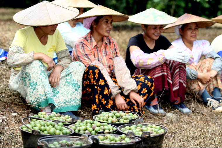 1572838168264374.png 1572838168264374.png