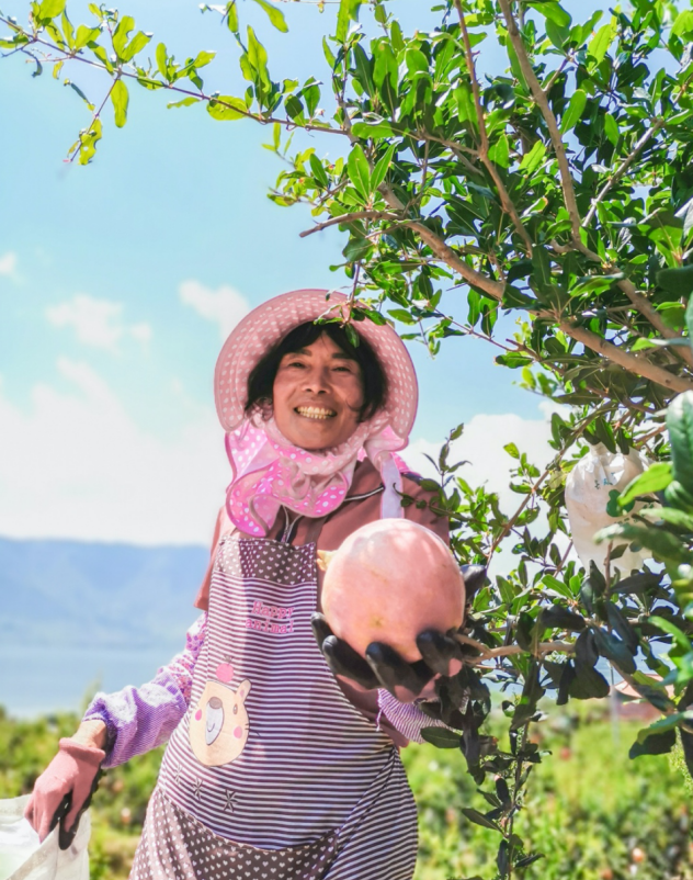 1572838231449860.png 1572838231449860.png