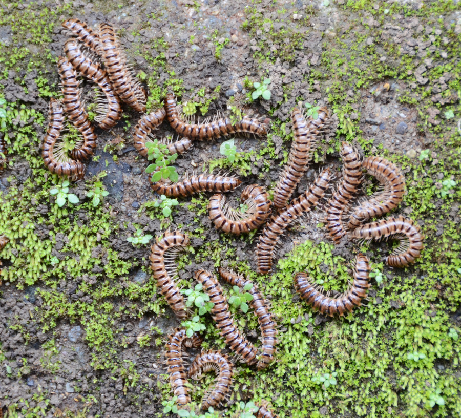 1572865925451925.jpg 1562738887599583.jpg