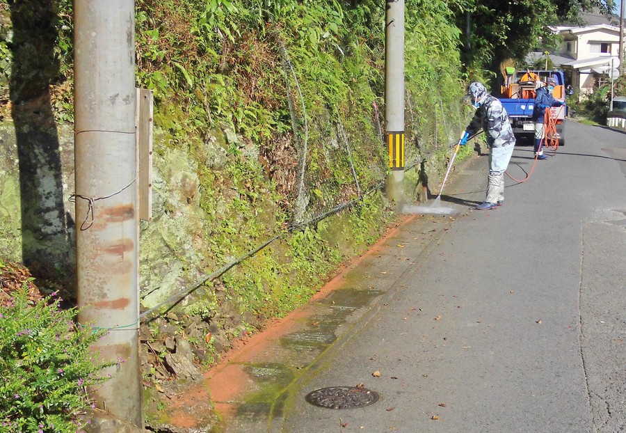 1572865957419363.jpg 1012_1.jpg