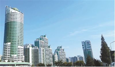 共同栽培友谊之树