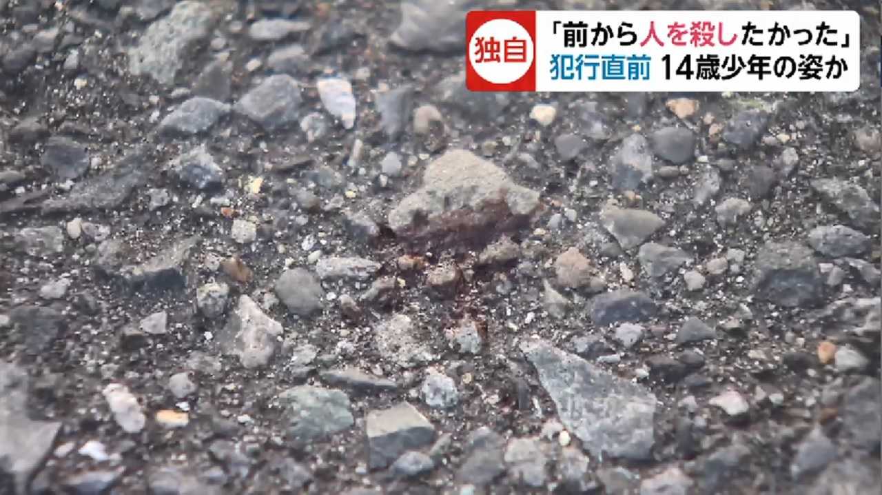 1573675710416367.jpg 1573675710416367.jpg