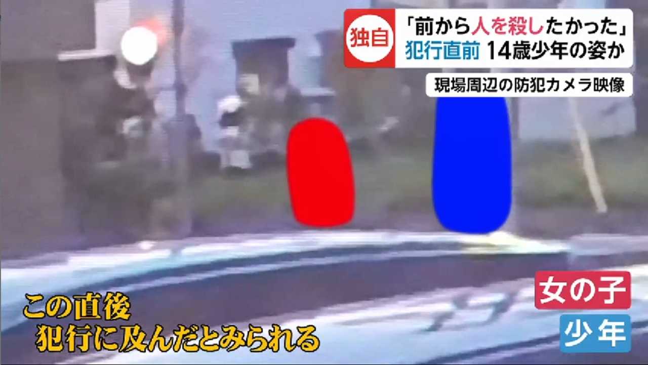 1573675746359920.jpg 1573675746359920.jpg