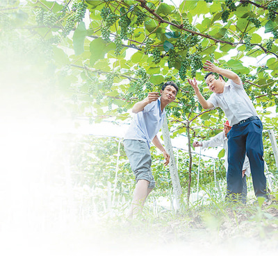 饭碗端稳了 不会穷回去