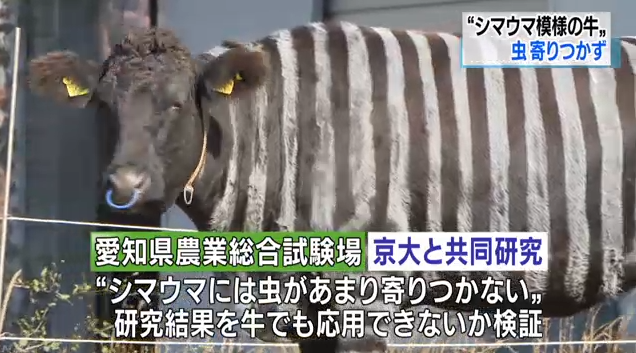 1574061863960059.png 1.png