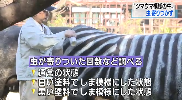 1574061892974008.png 2.png