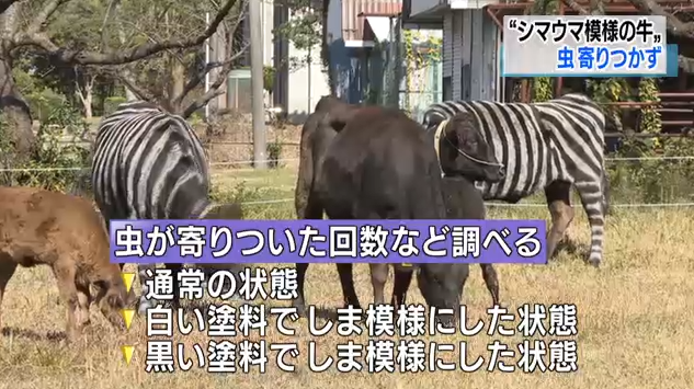 1574061919360650.png 3.png