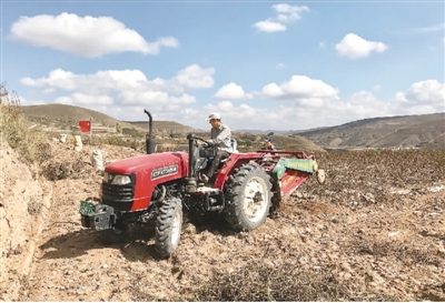 人民日报海外版重磅推出【中国脱贫传奇③】西海固洋芋翻身记