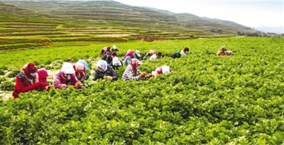 人民日报海外版重磅推出【中国脱贫传奇③】翻越最后一座“高山”