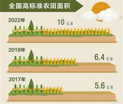 吃得饱还要吃得好（权威发布）