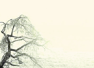 当华裔青少年遇见中华传统文化