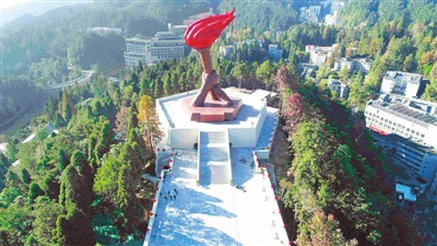 井冈翠竹“红”了