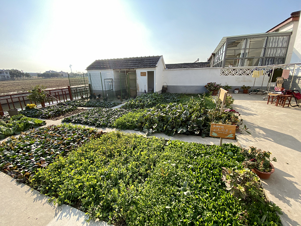 从世业镇发展看“镇江这五年”：村民富了，生活比画还漂亮