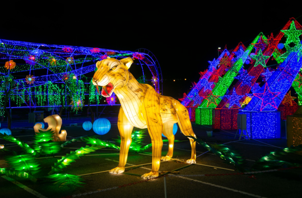 1575733812120034.png image.png