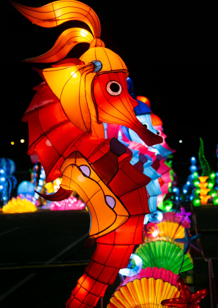 1575733862584816.png image.png