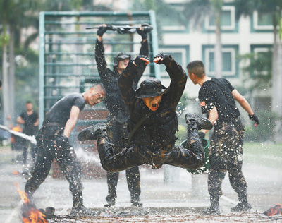 威武文明的“莲花卫士”