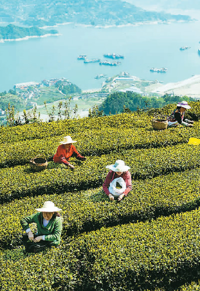 “村落夜话”：蹚出乡村治理新路子