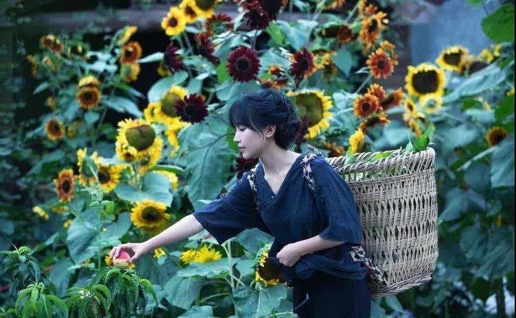 侠客岛：何必争论李子柒