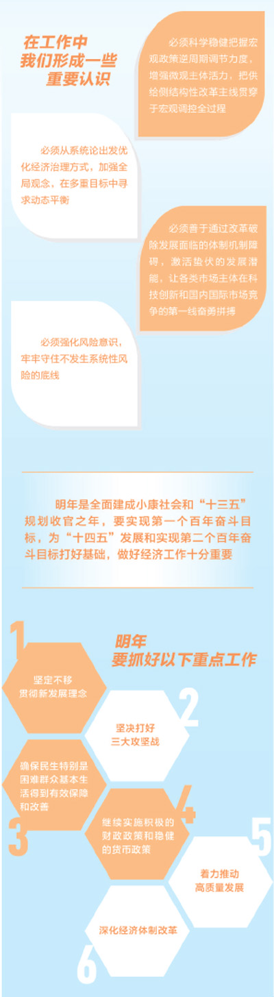 明年经济工作怎么干