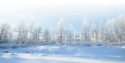 林海茫茫 有我守望