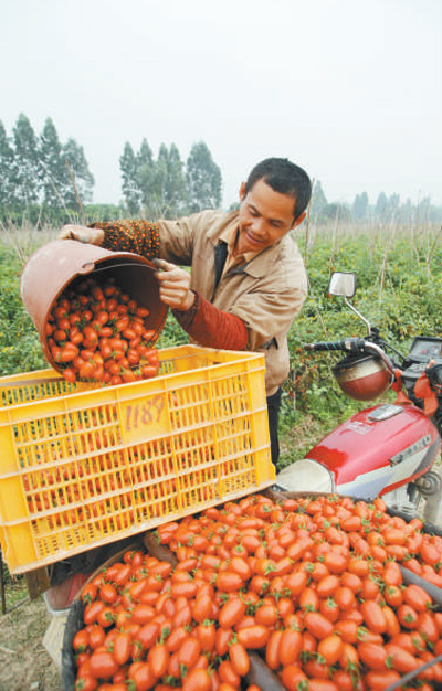 红色土地谱写脱贫壮歌