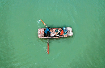 “邮政绿”，我们为啥离不开它？