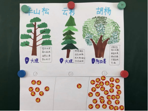 首次跟蚂蚁森林打通，钉钉全网第一棵班级树正式被种下 V1411.png