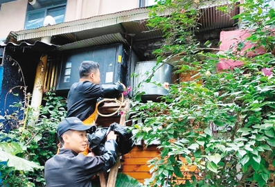 【民生小事这样解决③】泡桐树街区越来越和谐了