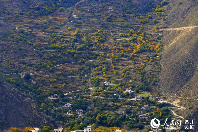 四川藏区丹巴县高山峡谷间遍布希望天梯