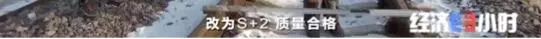 刷脸进站、自动驾驶！京张高铁将“人”字画成“大”字！这段路，中国走了110年...